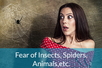 Fear of Insects Spiders Animals